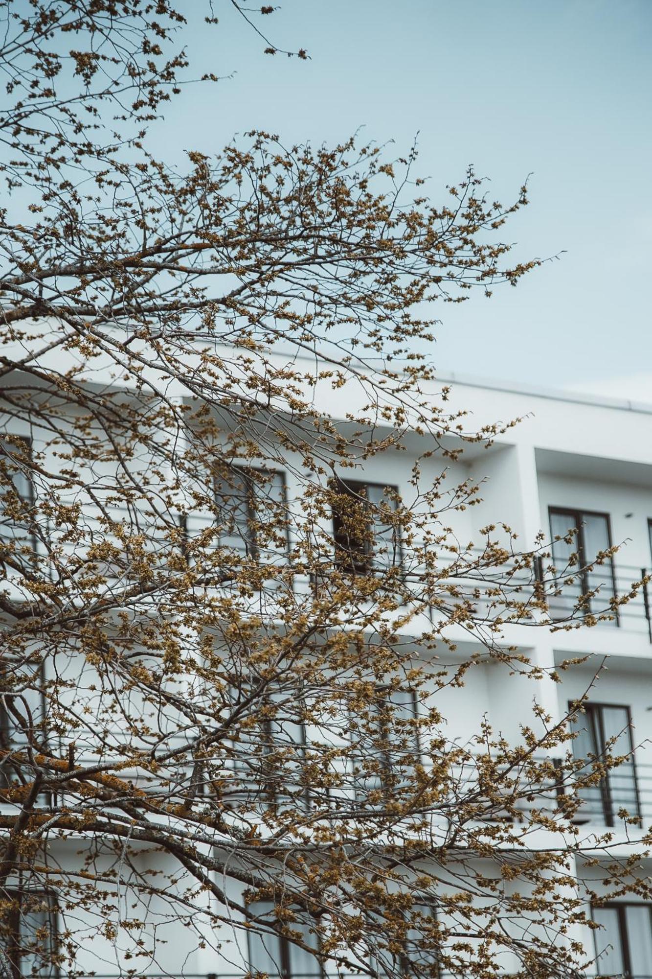 Oe Seaside Suites & Spa Kuressaare Zewnętrze zdjęcie